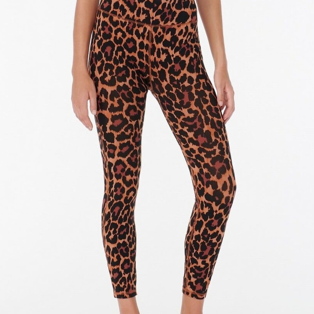 JCrew cotton high waisted leggings